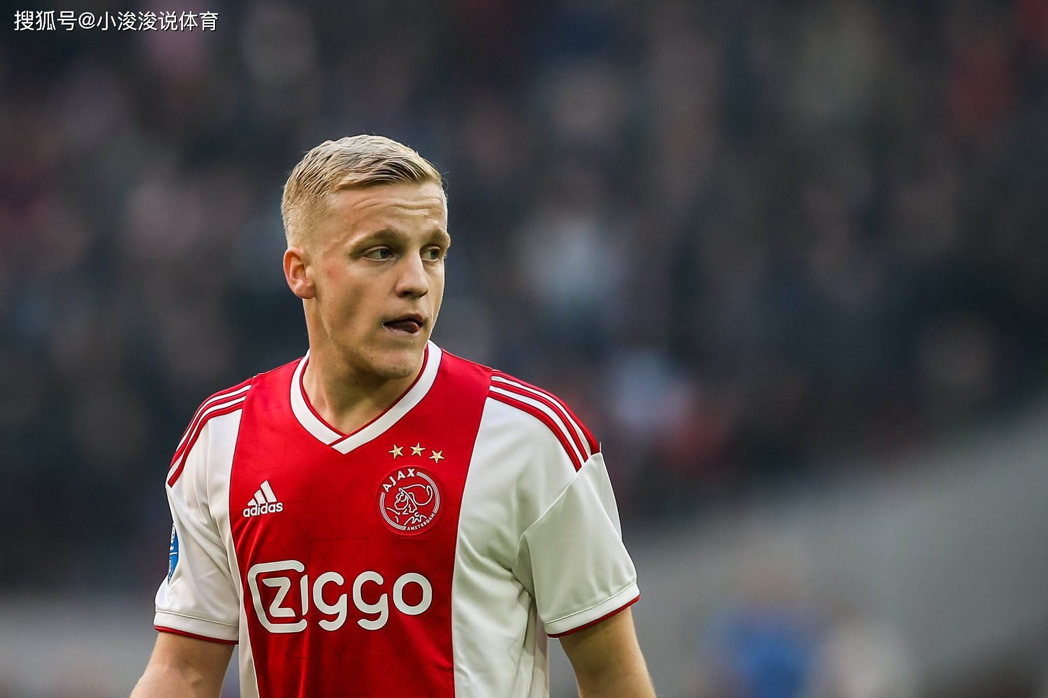 是切尔西阵 是切尔西阵