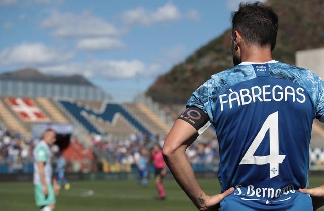 质摄入量 质摄入量