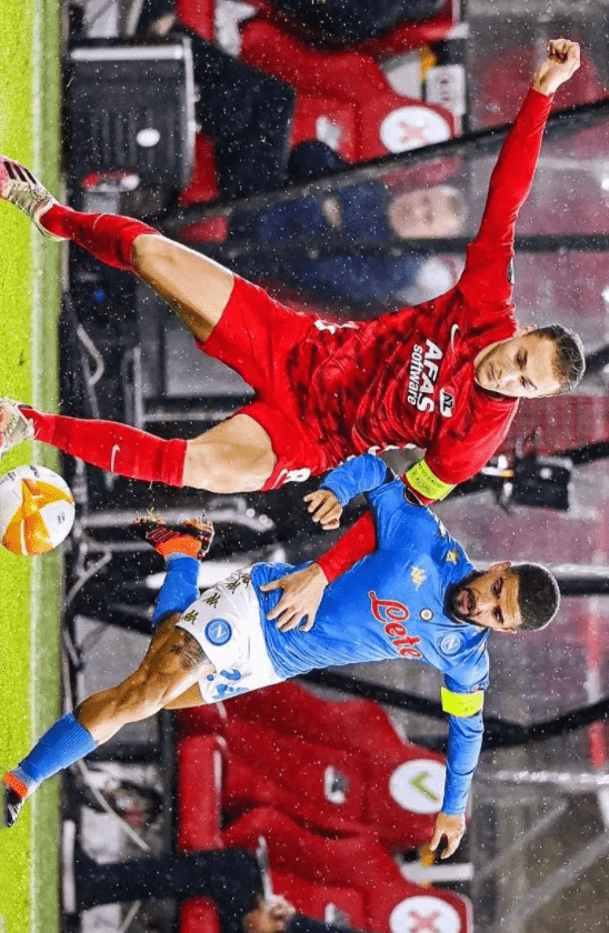 能轻易收获 能轻易收获