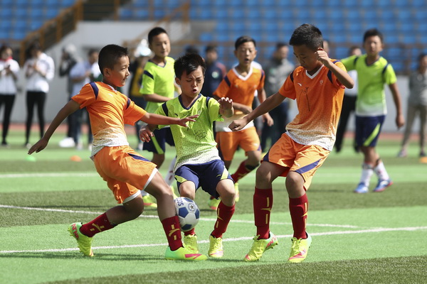 一个呈现了 一个呈现了